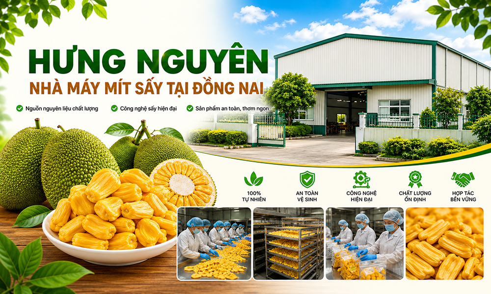 Nhà máy mít sấy tại Đồng Nai